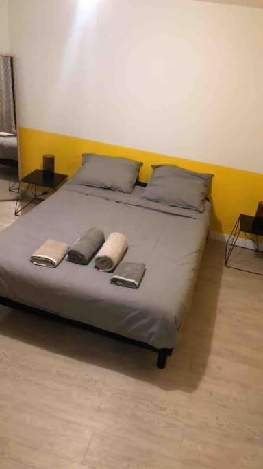Appartamento Le Berlier 60M2 + Cour Privee - Centre Historique Digione Esterno foto